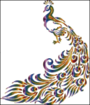 (image for) Flaming Peacock